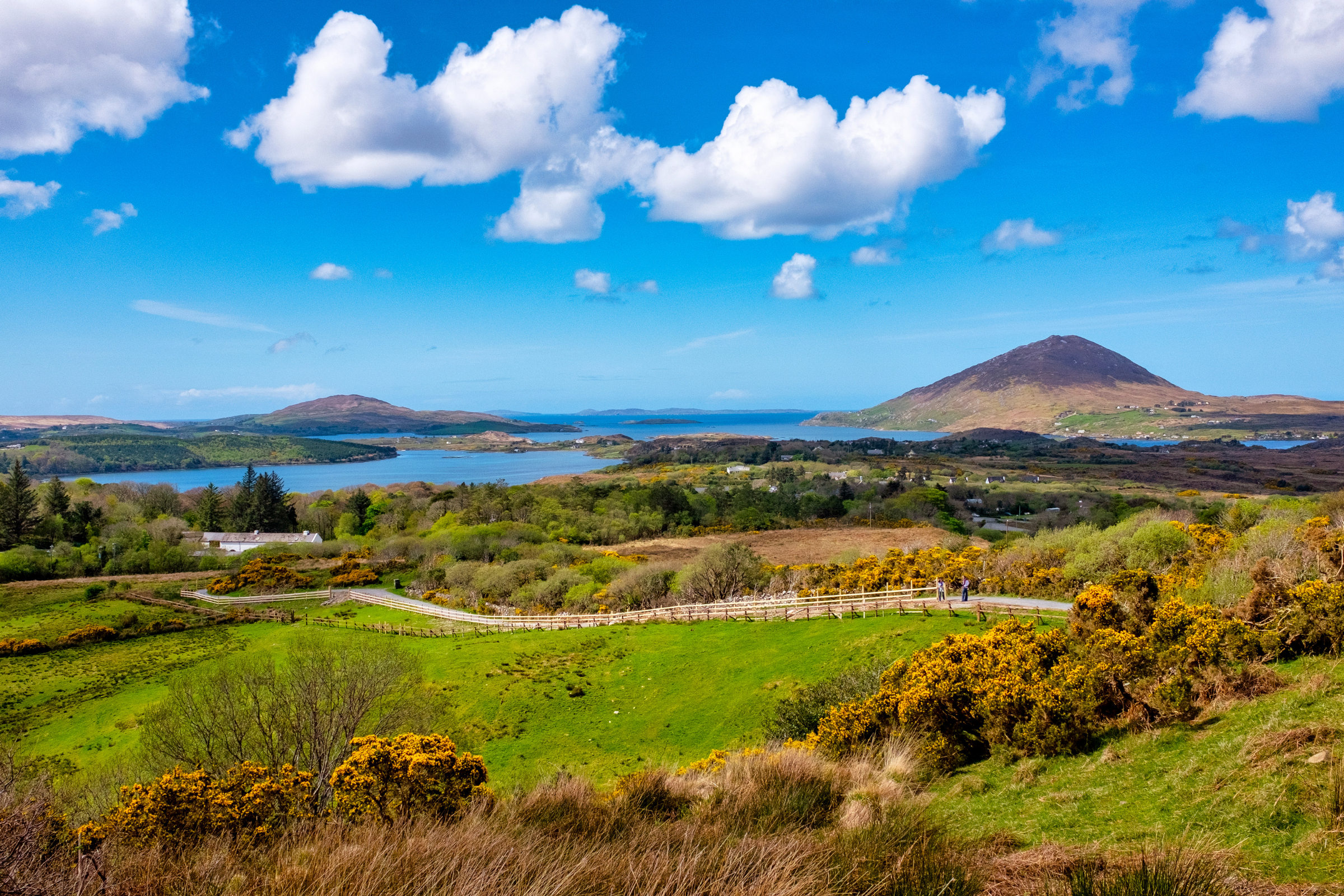 connemara national park.webp